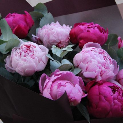 Pink Peonies