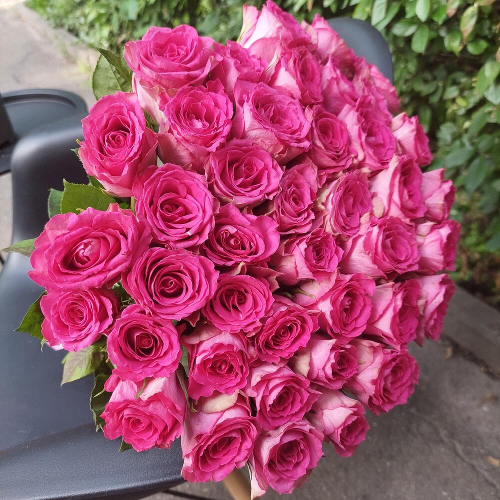 41 малиновая роза